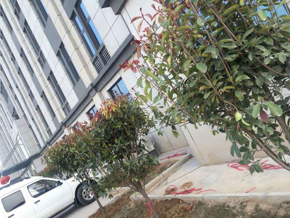 河南心博注册总代理